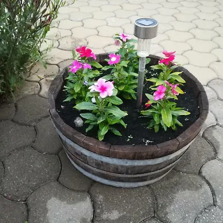 Apartment Belici *