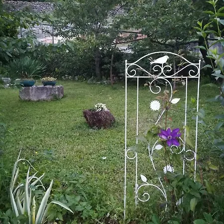 Apartment Belici *