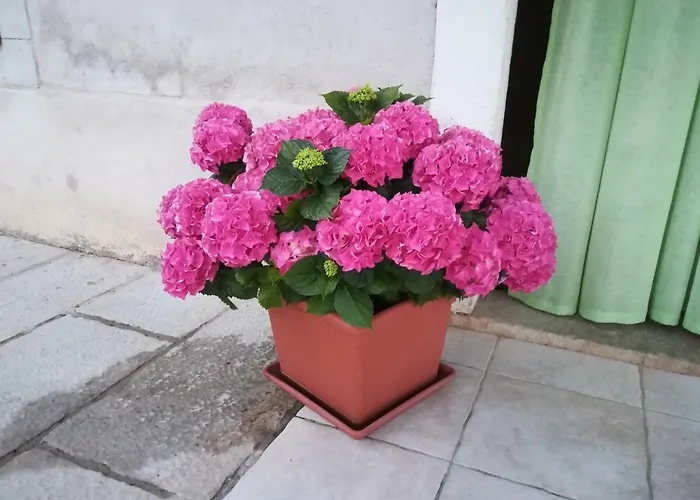 Belici Lägenhet Brseč