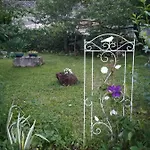 Apartament Belici *