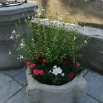Belici Apartament *