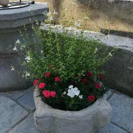 Belici Appartement *